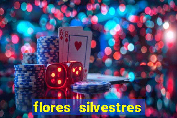 flores silvestres desbravadores desbravadores 25